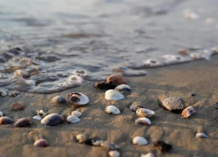 Apartment in Caorle Near Beach