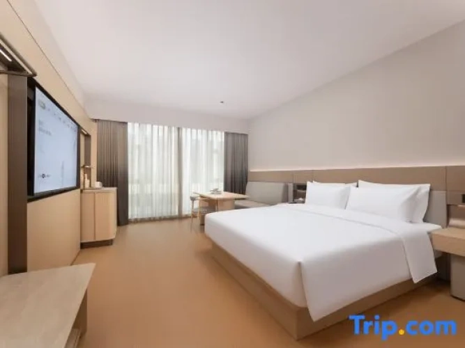 Executive Twin room