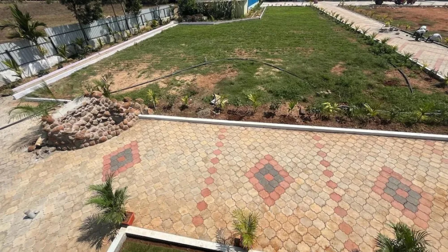 Rangi Taranga