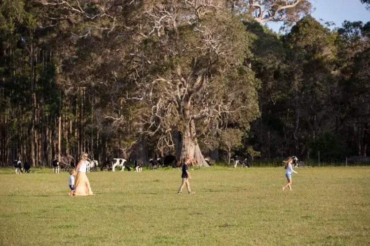 Redgate Forest Retreat