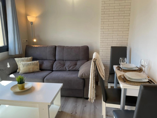 Apartamentos Aranda - Ático Duero