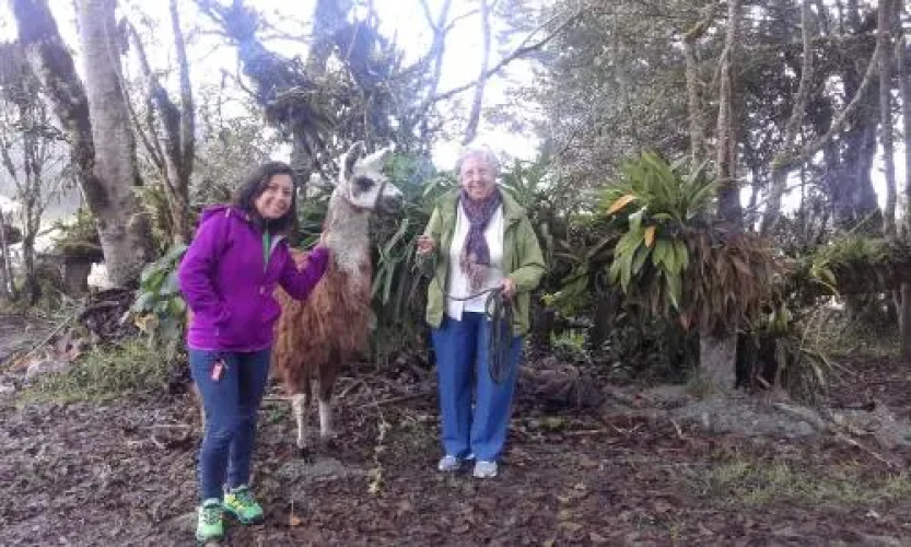 Rutun Orquídeas