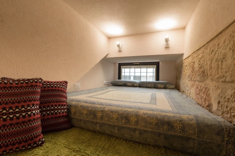 Luxury Apartment