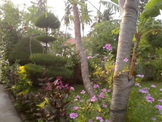 Tropicana Bungalows