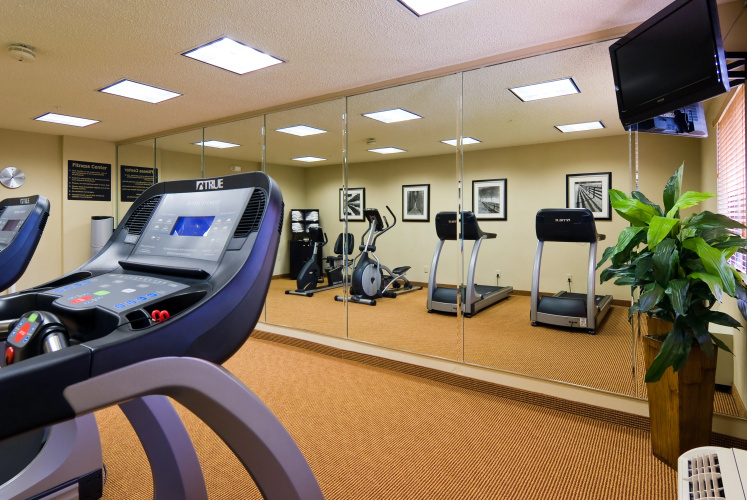 Holiday Inn Express & Suites Kendall East - Miami photo 24
