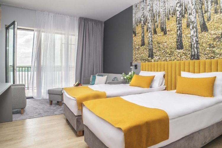 Standard Double room with lake view