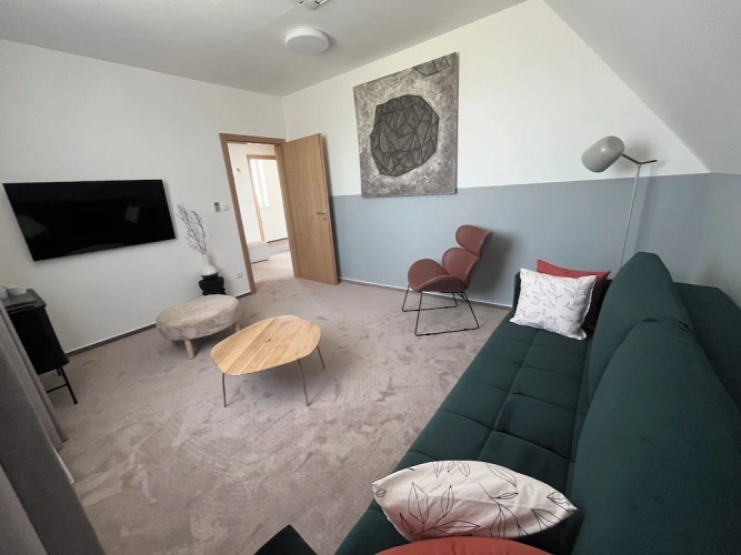 Deluxe Apartment