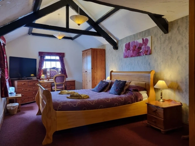 Superior Double room