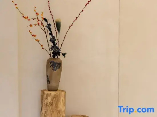 Wild and Ancient Homestay
