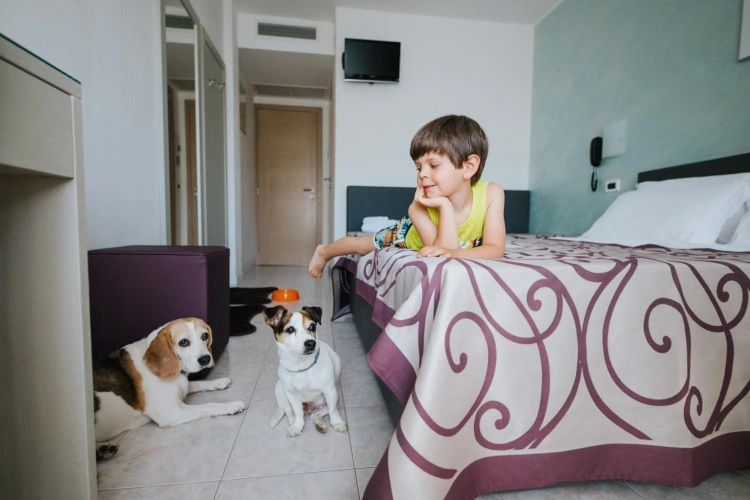 Guest rooms