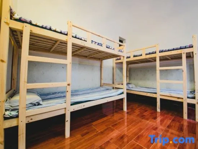 Bed in Dorm