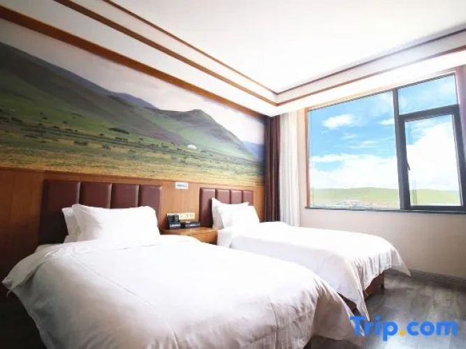 Economy Twin room
