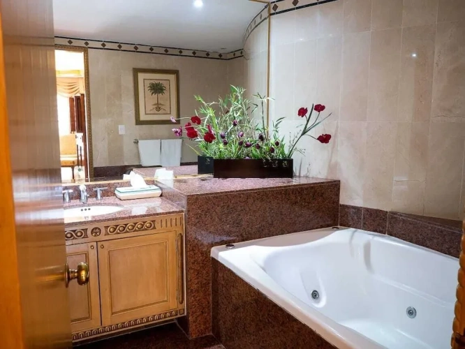 Luxury Suite