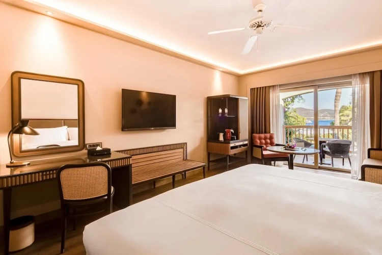 Deluxe Double room with pool view