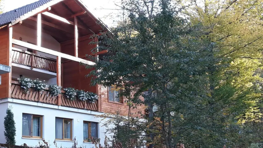 Pintea Chalet