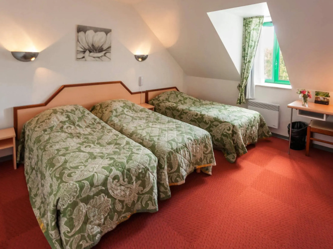 Logis Hotel Du Lac