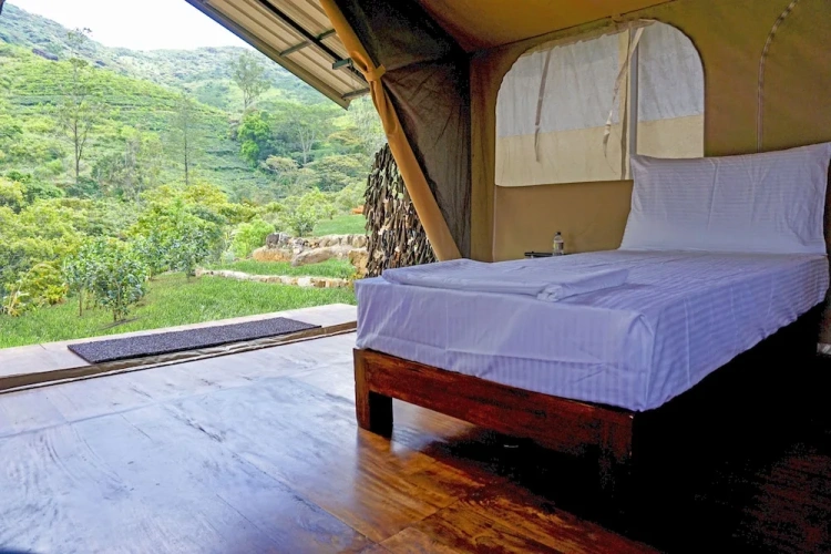 Tent