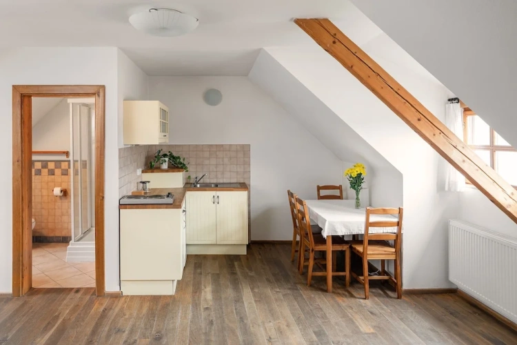 Standard Apartment