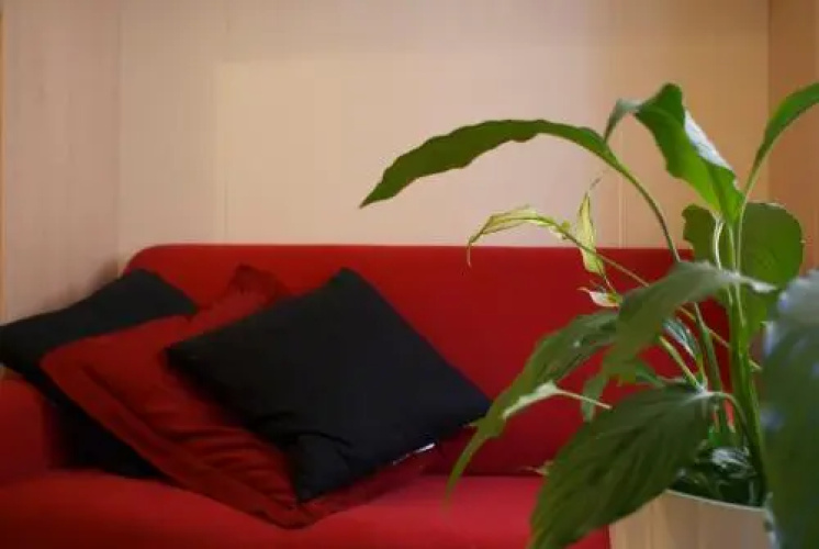 Olly Apartments