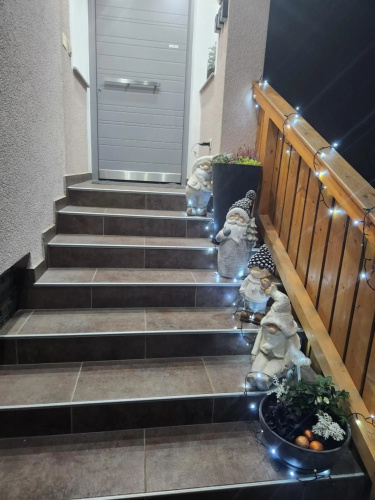 Vila Rajska ptica