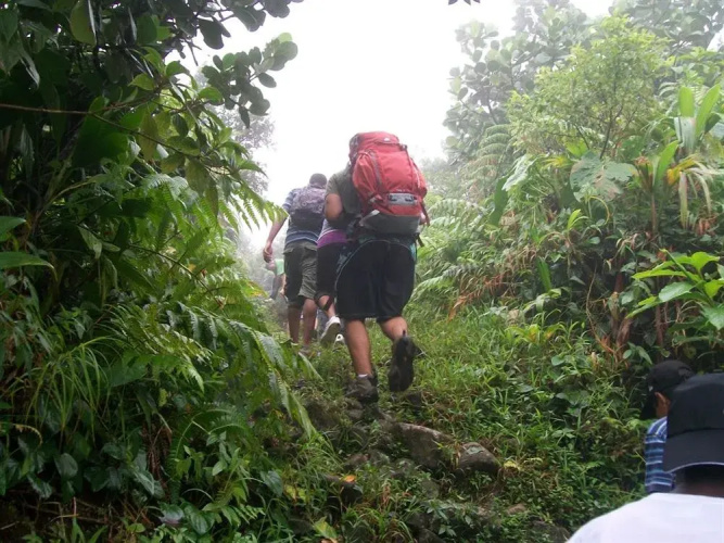 Serenity Lodges Dominica