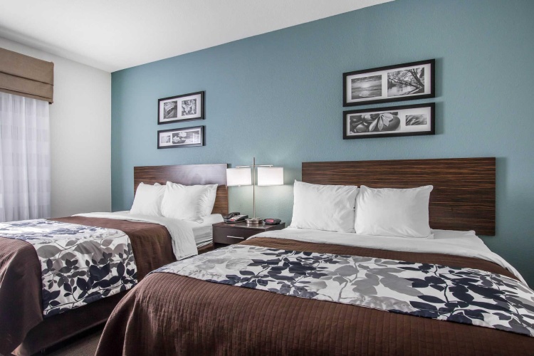 Standard Quadruple room