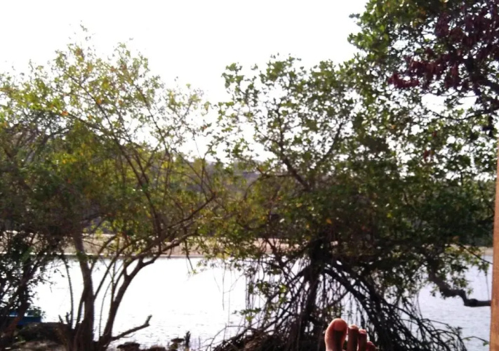 The Bay Agonda