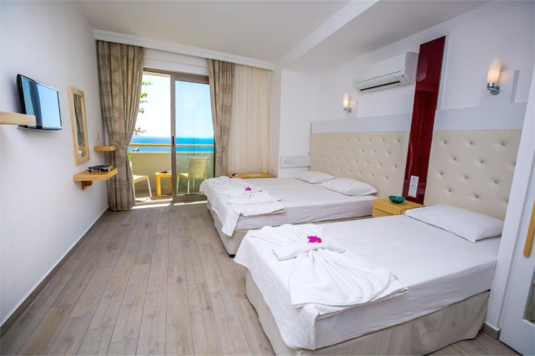 Standard Single room