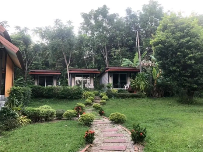 Deluxe Bungalow