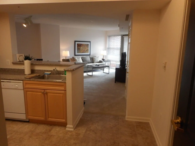 1 Bedroom Premier Apartment
