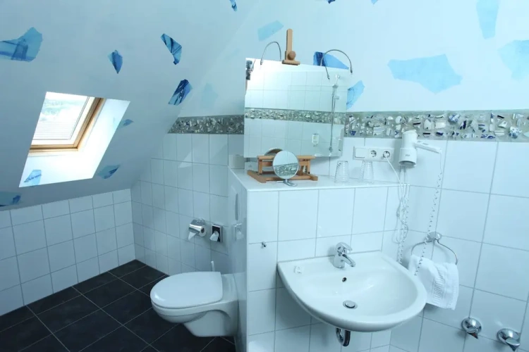 Superior Single room