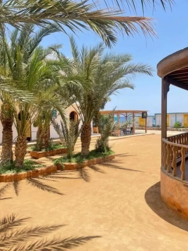 Standard Double room with balcony and with garden view