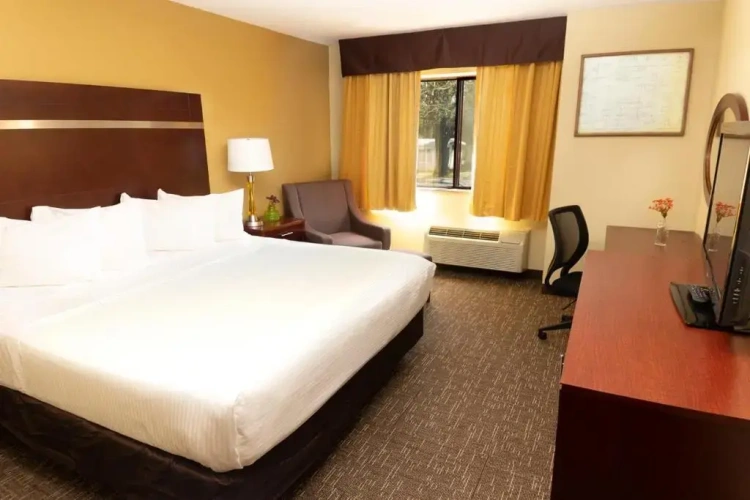 Standard Double room