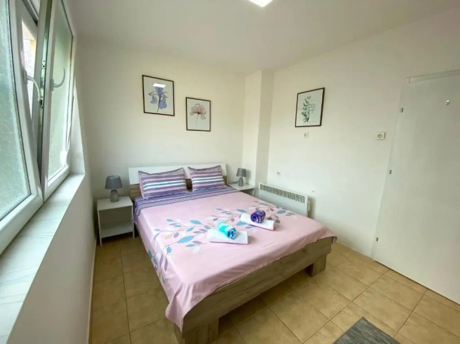 Deluxe Apartment