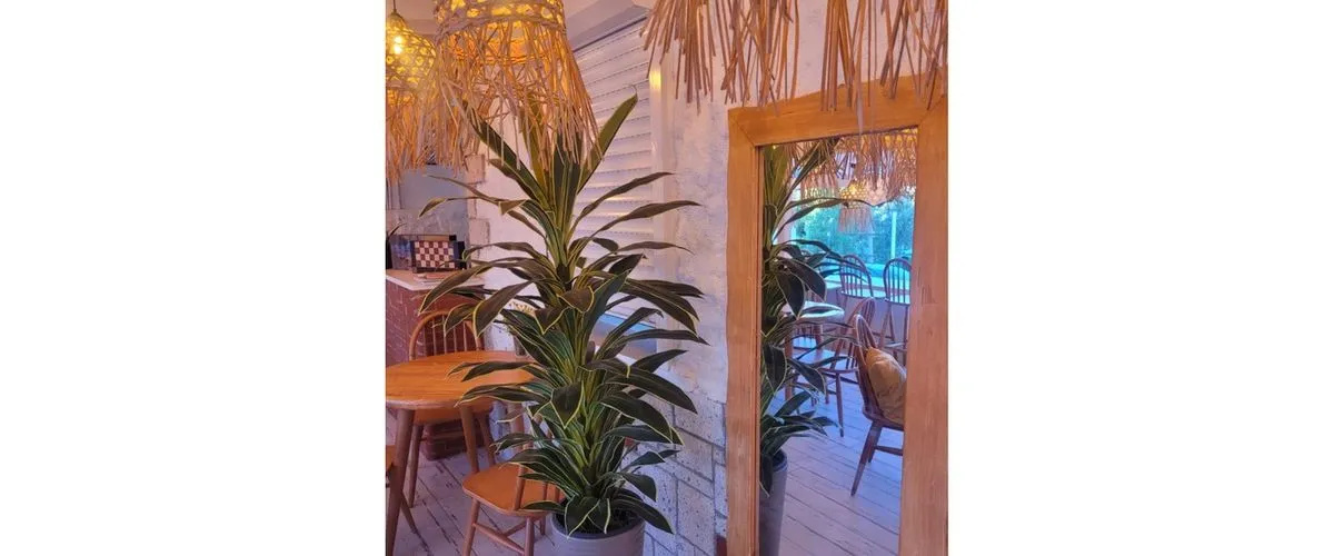 Sisu Alacati