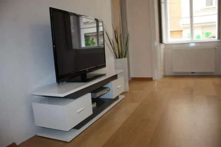 Luxury Downtown Apartment Vienna - Baeckerstrasse