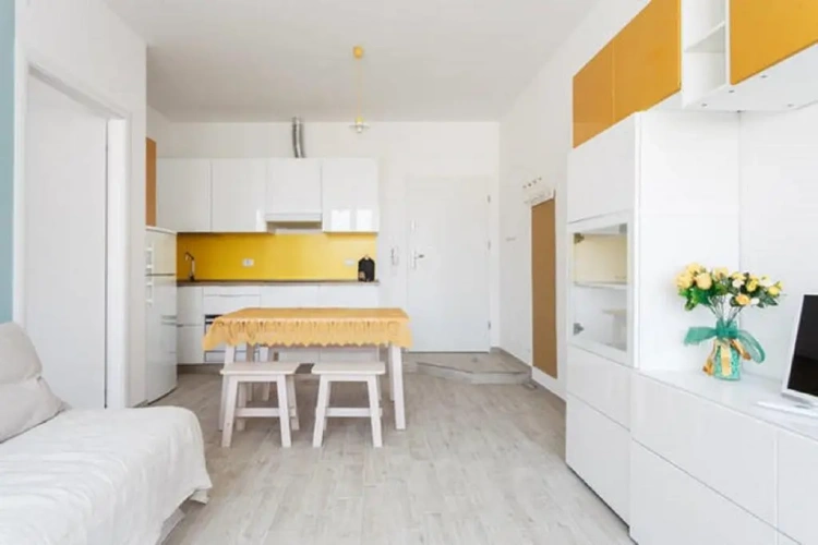 1 Bedroom Apartment