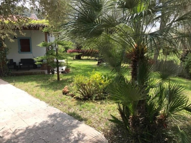 Outside