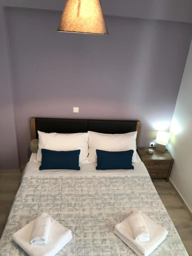Elsa home