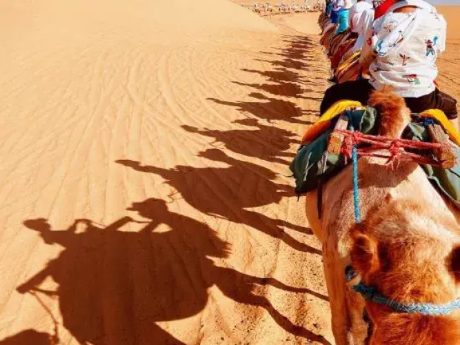 Desert Diary Luxury