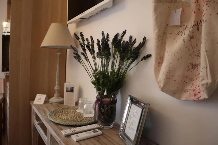 Hostal Boutique Olvido 22