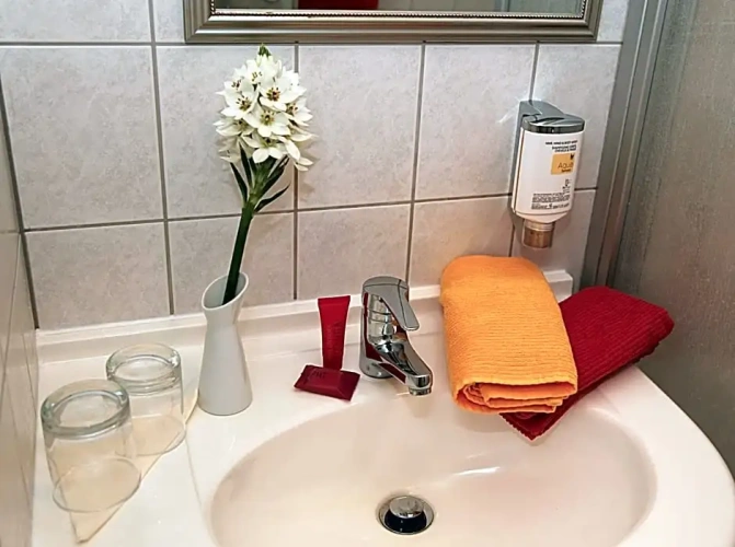 Comfort Single room