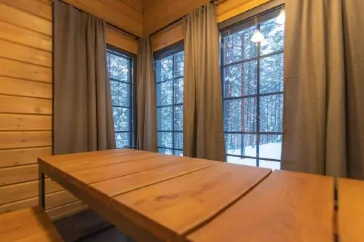 Tunturipöllö 2