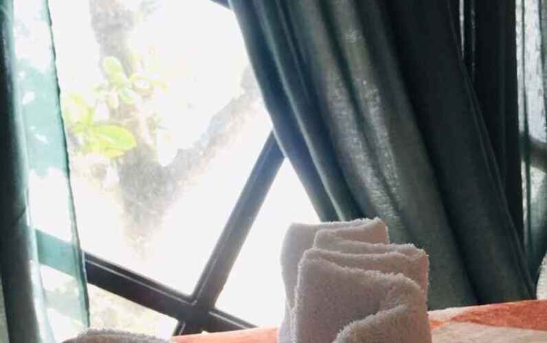 Pukka BeachOver view