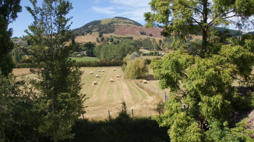 The Birches Bed & Breakfast