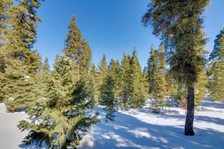 Unique Forest Cabin With Deck: Ski, Hike, Fish!