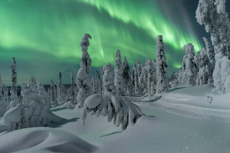 Arctic Panorama Resort