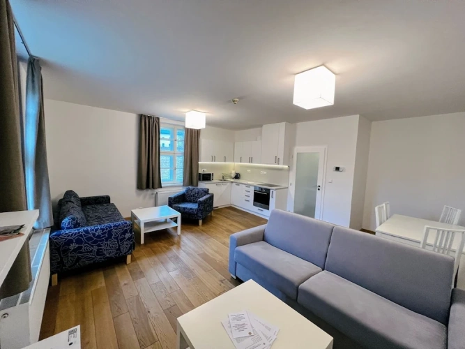 1 Bedroom Standard Apartment