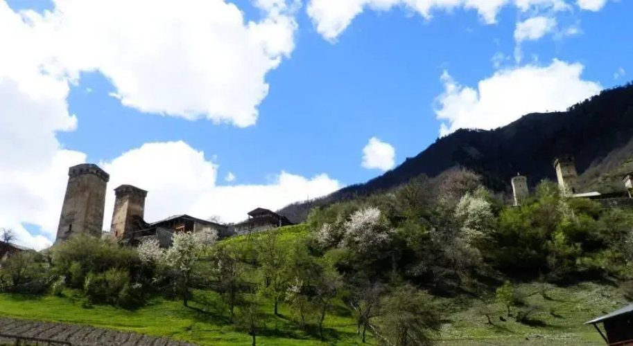 Guest House Laleeta