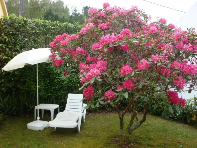 2 Bedrooms Double Cottage